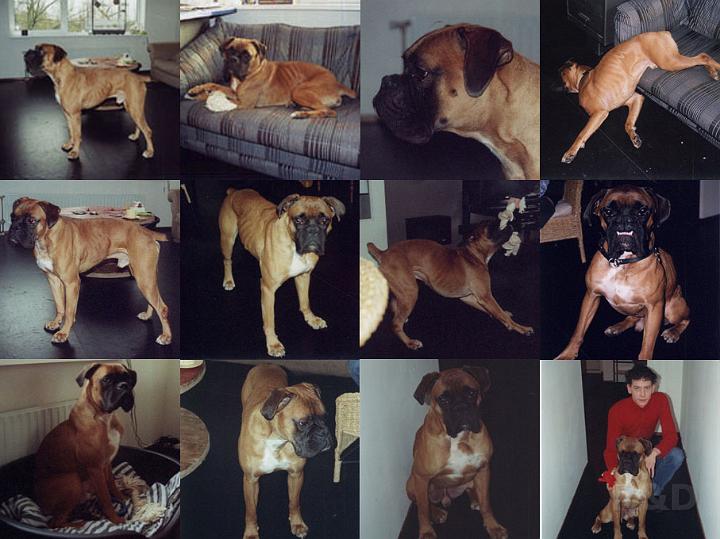 Spock Eerste Week.jpg - Spock's eerste week
